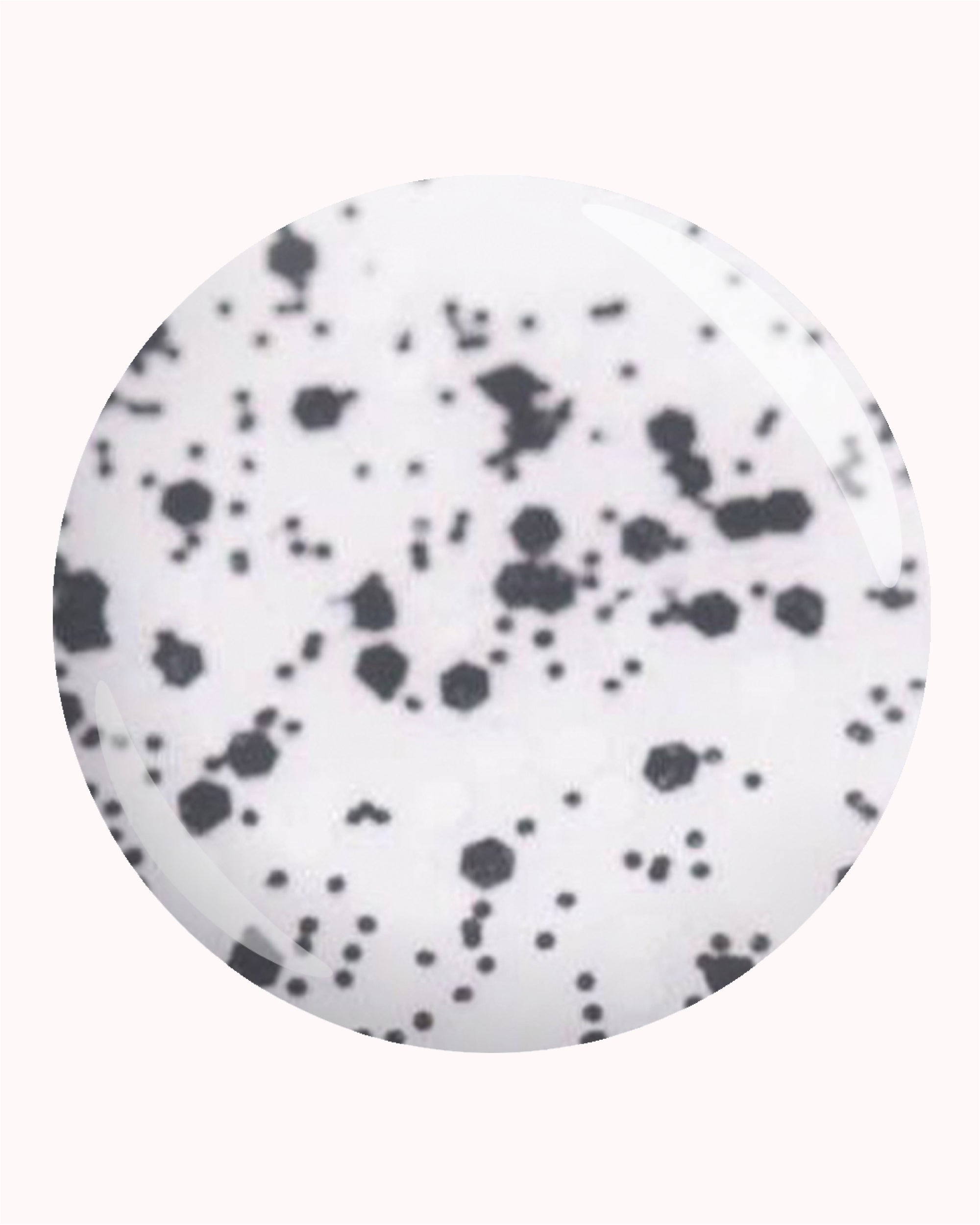 Confetti Black &amp; White Topcoat