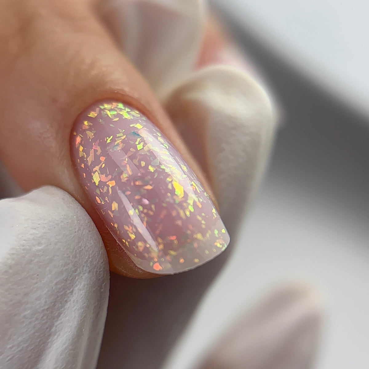 NN Gel – Michella Bella 3