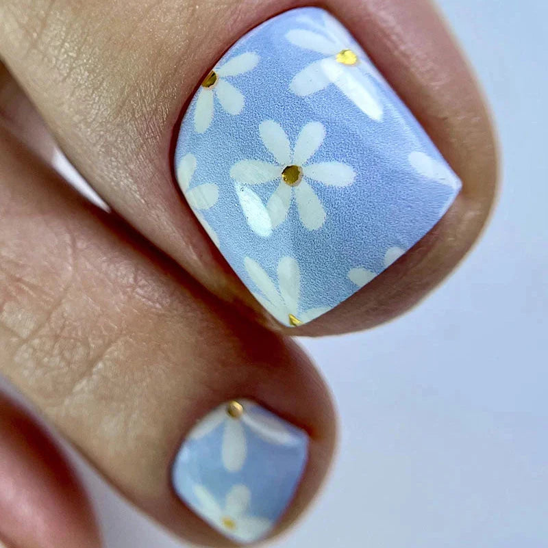 Wraps Pédicure Marguerites Bleues – WR-874